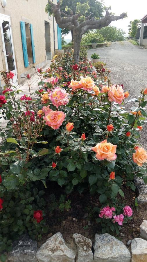 Bed and Breakfast La Vigneronne Villelongue-d'Aude Zewnętrze zdjęcie
