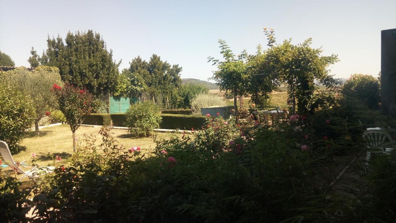 Bed and Breakfast La Vigneronne Villelongue-d'Aude Zewnętrze zdjęcie